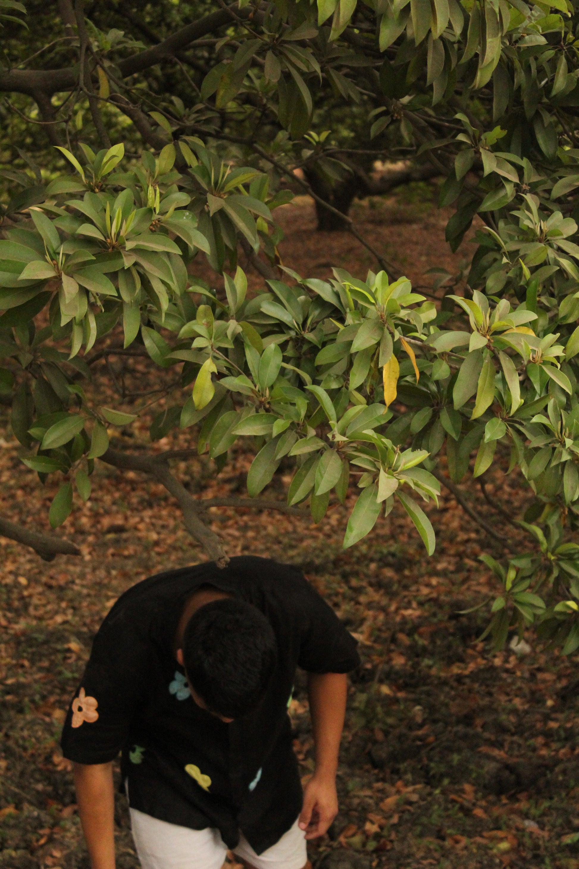 A young man in a black linen shirt with colorful flowers coming out of a grove of trees